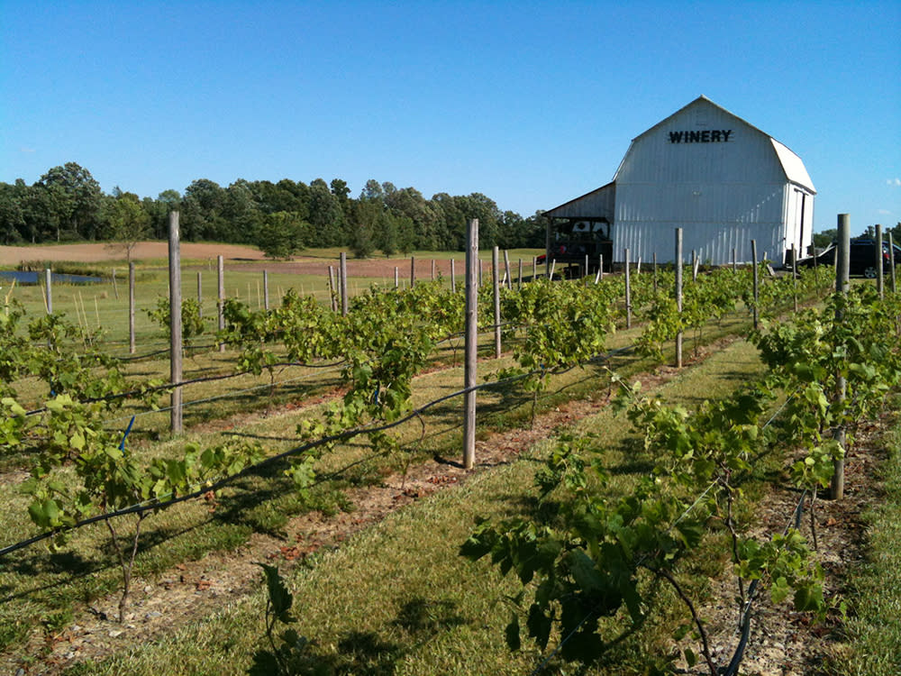 Izzo�s White Barn Winery