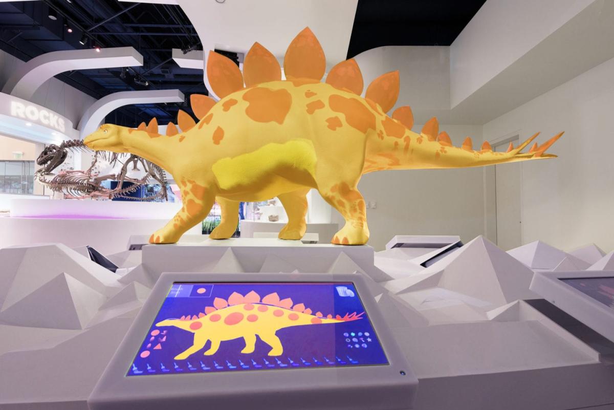 Rediscover The Fort Worth Museum Of Science And History This Summer Fort Worth Tx 76107