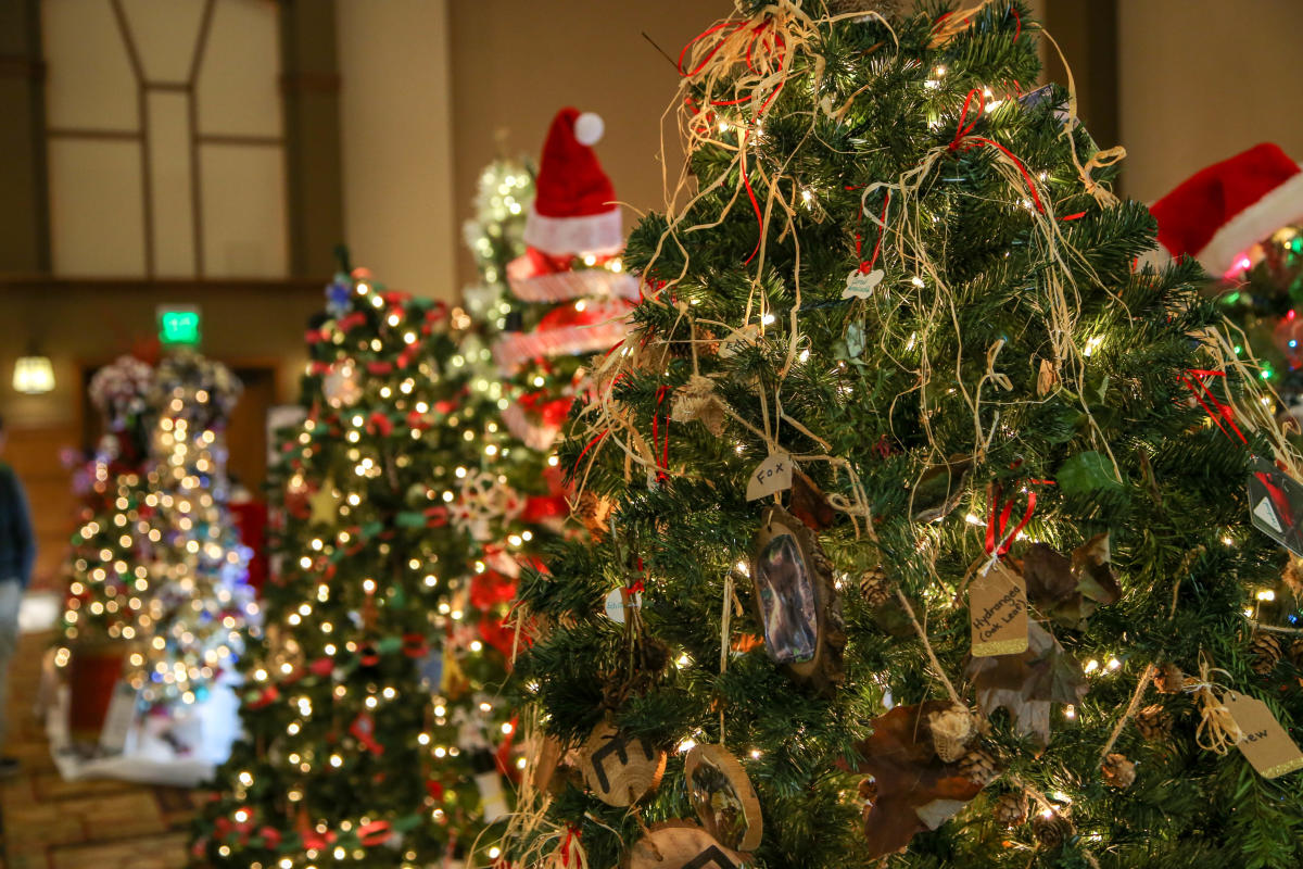 Greeneville Tn Festival Of Trees November 2022
