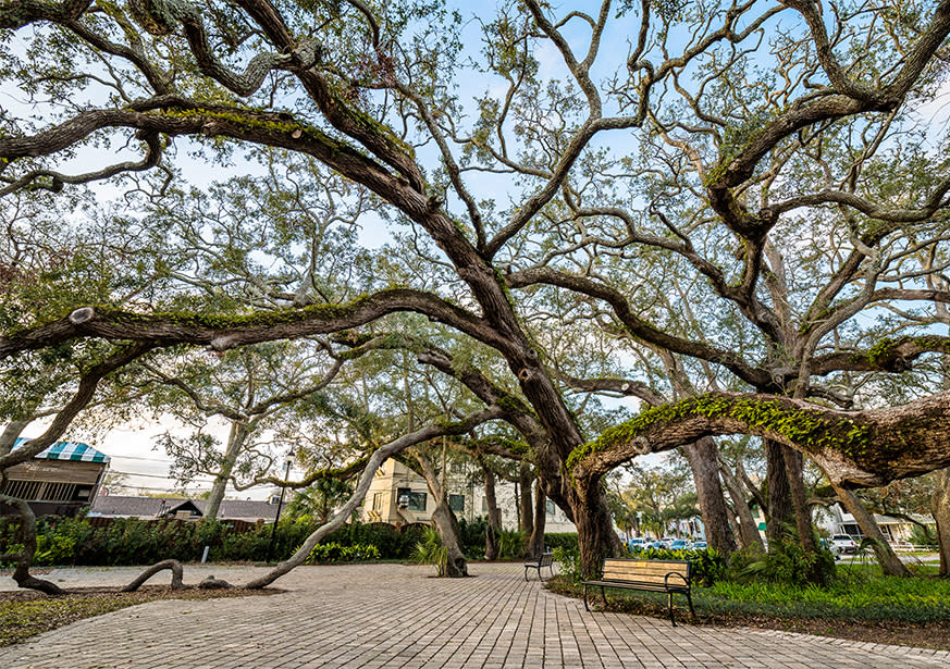 Postell Park St Simons Island Ga 31522