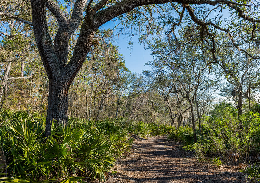 Off Road Bike Trail Brunswick Ga 31520