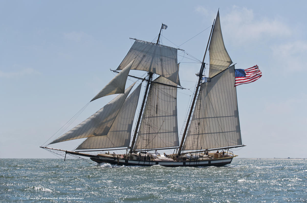 Tall Ship Lynx Brunswick Ga 31520