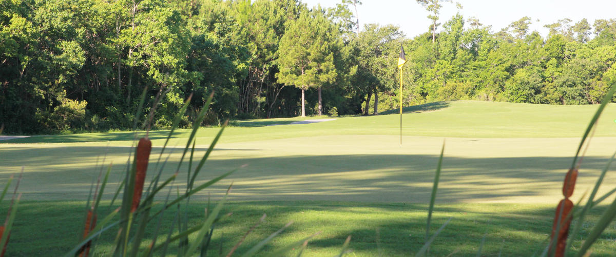 Bridges Golf Club Hollywood Casino Bay St Louis Ms 39520
