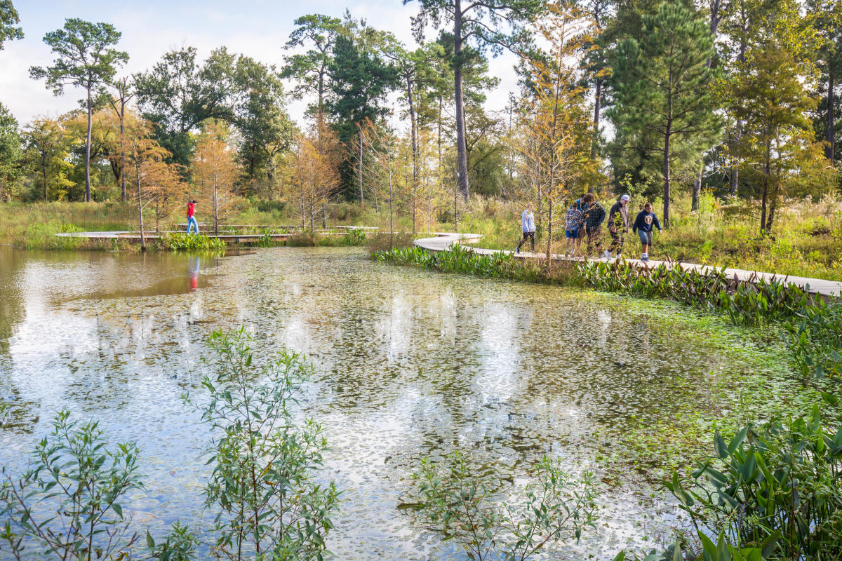 Houston Arboretum & Nature Center | Things To Do Houston, TX