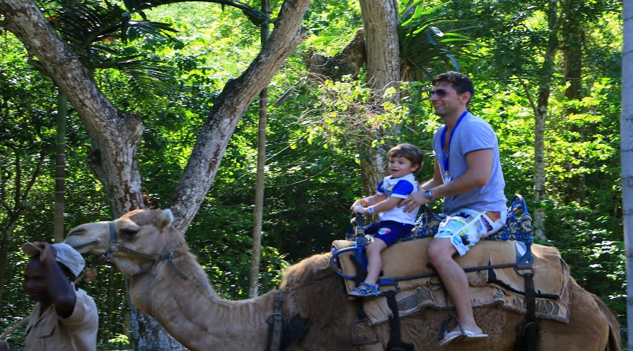 Experience In Yaaman Adventure Park
