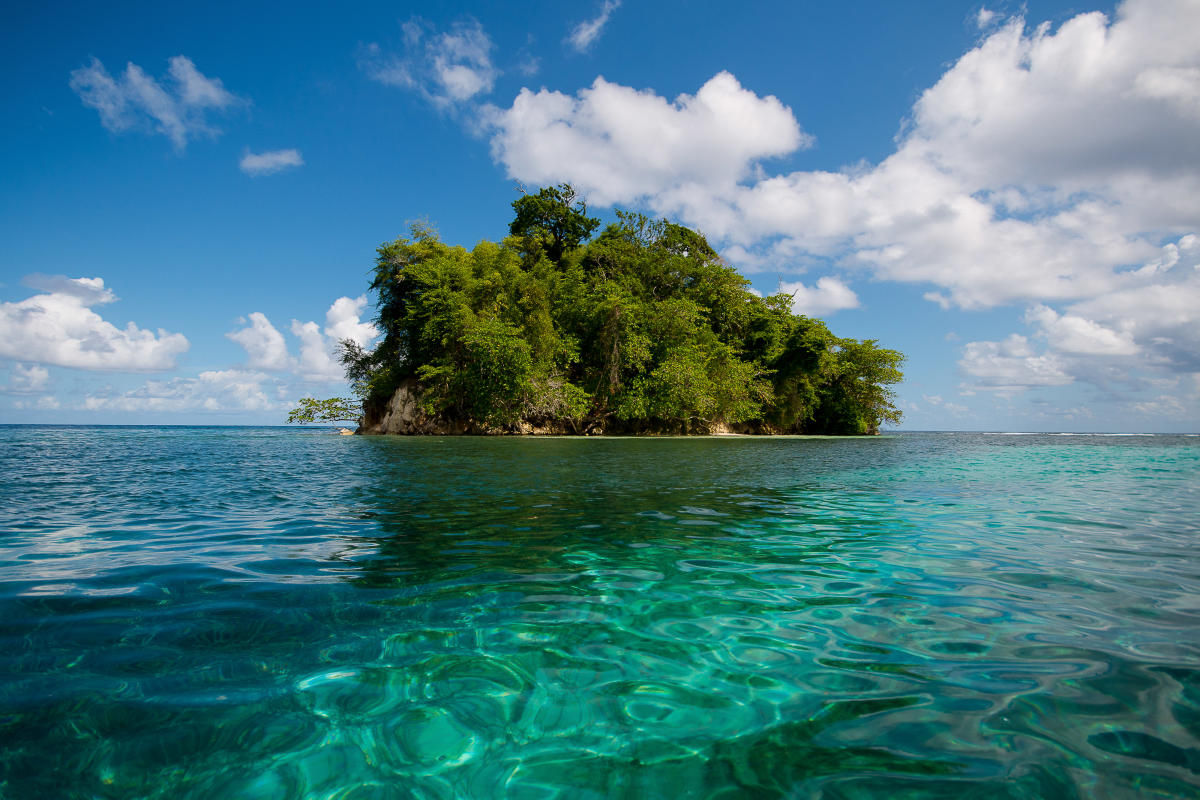 What Is Monkey Island