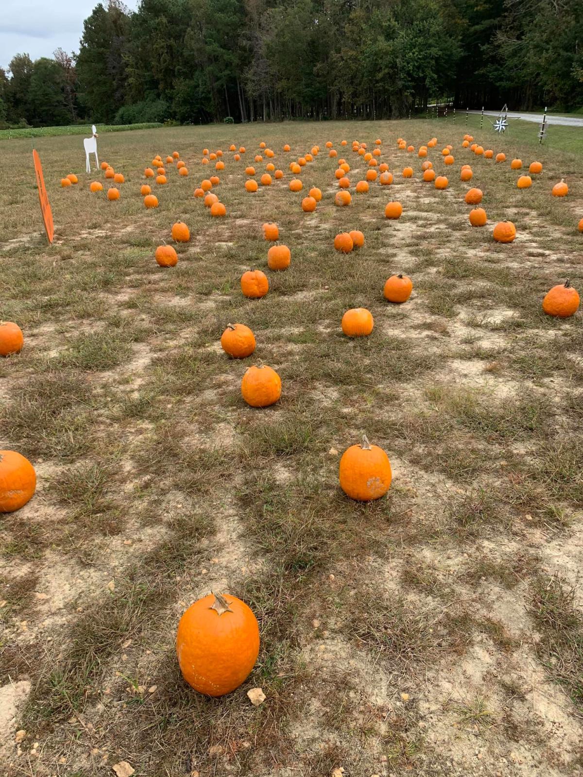 6th Generation Strickland Farms