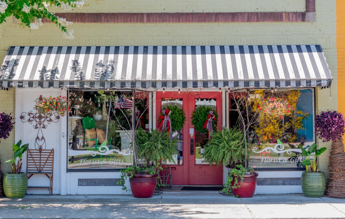 The Vine & Branch Florist & Gifts