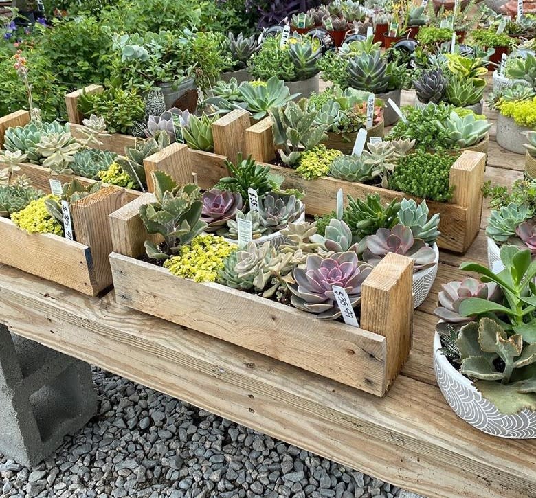 Lee's Produce and Garden Center