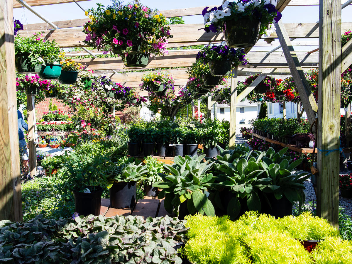 Lee's Produce and Garden Center