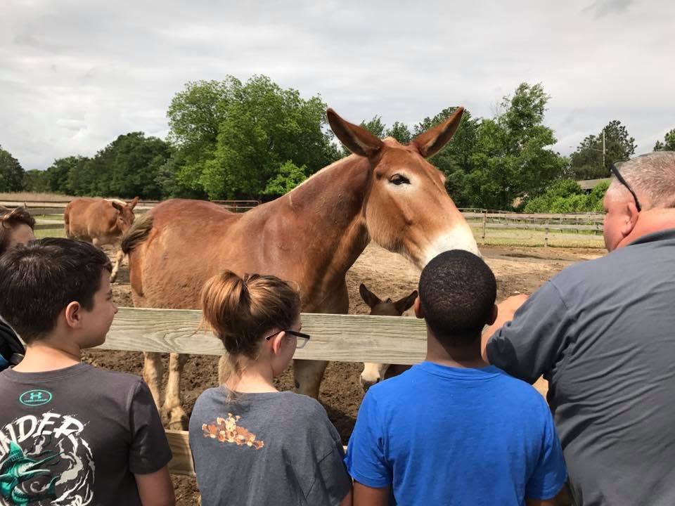 Mule City Specialty Feeds, Inc.