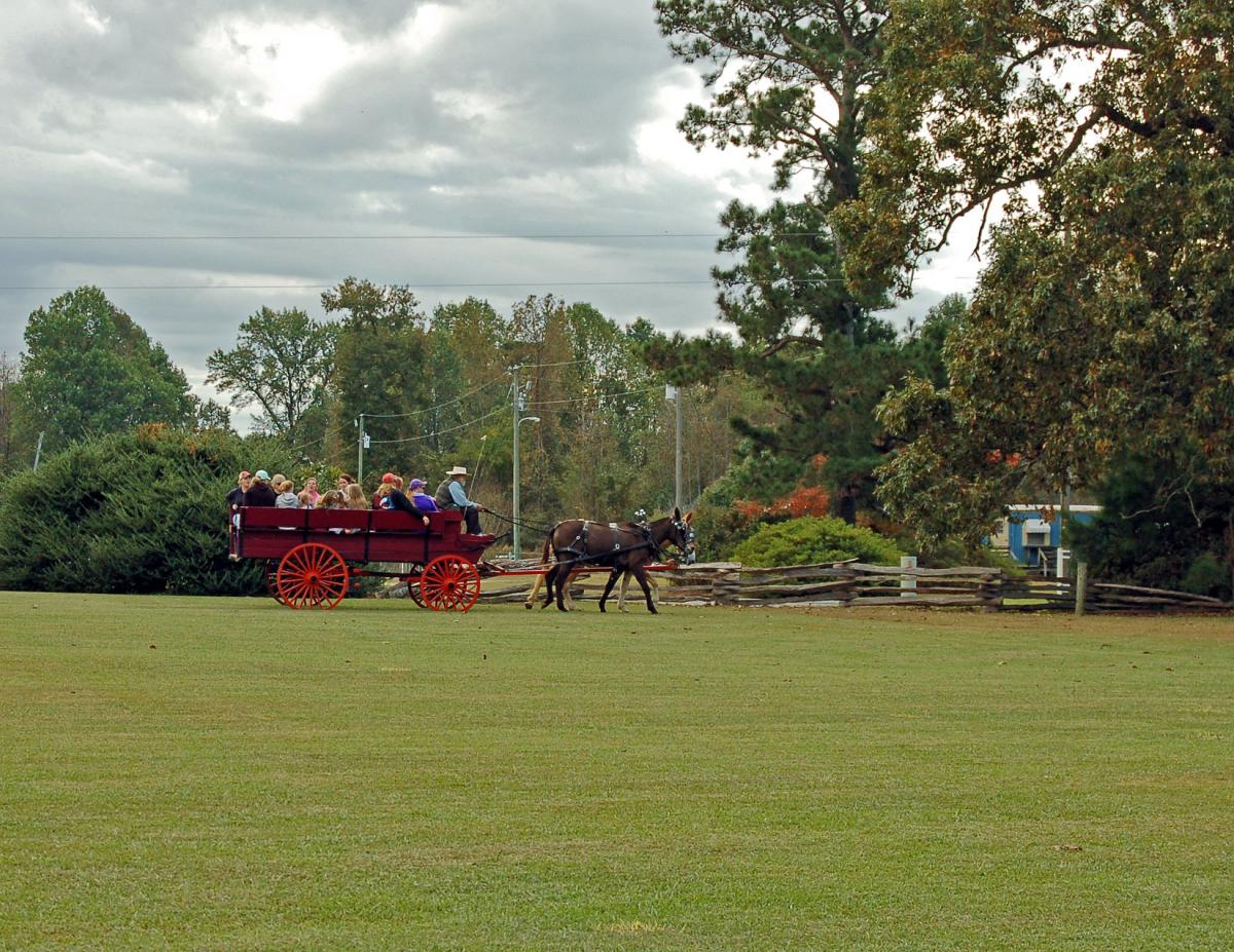 Fall Festival at Bentonville Battlefield
