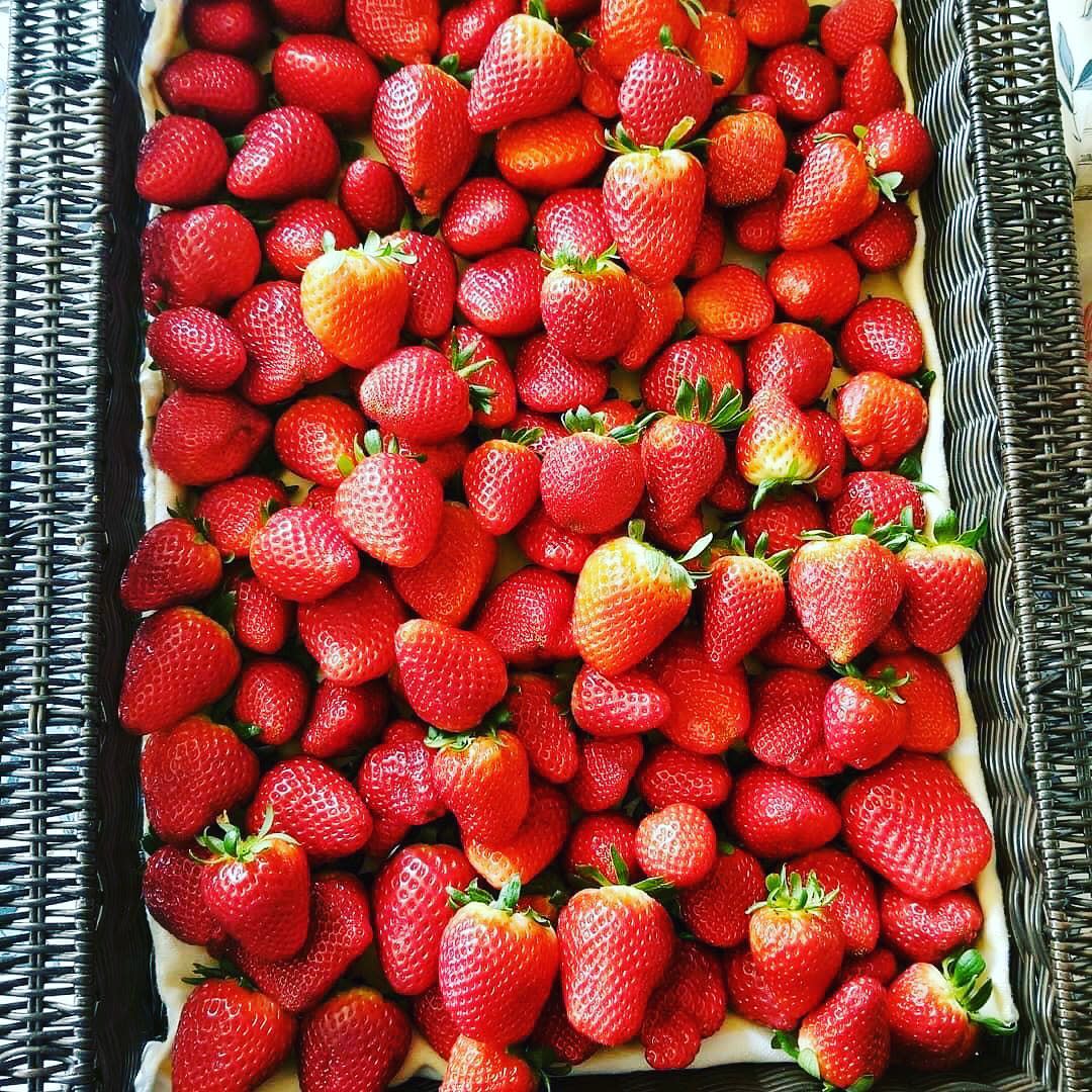 Smith's Nursery and Strawberry Farm