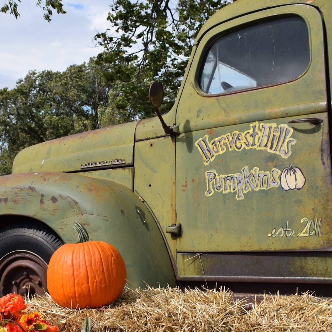 Harvest Hills Pumpkins - Bremen KS, 66412