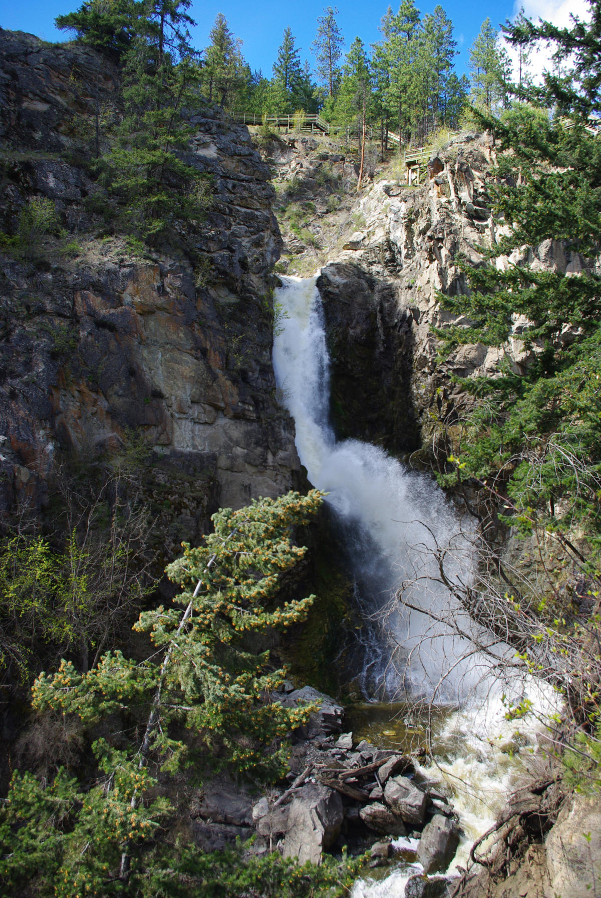Fintry Provincial Park