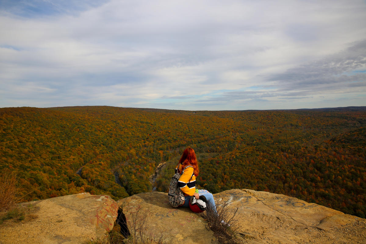 lackawanna county convention and visitors bureau