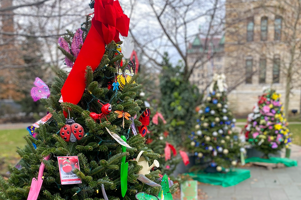 Festival Of Trees The Wonders Of Nature