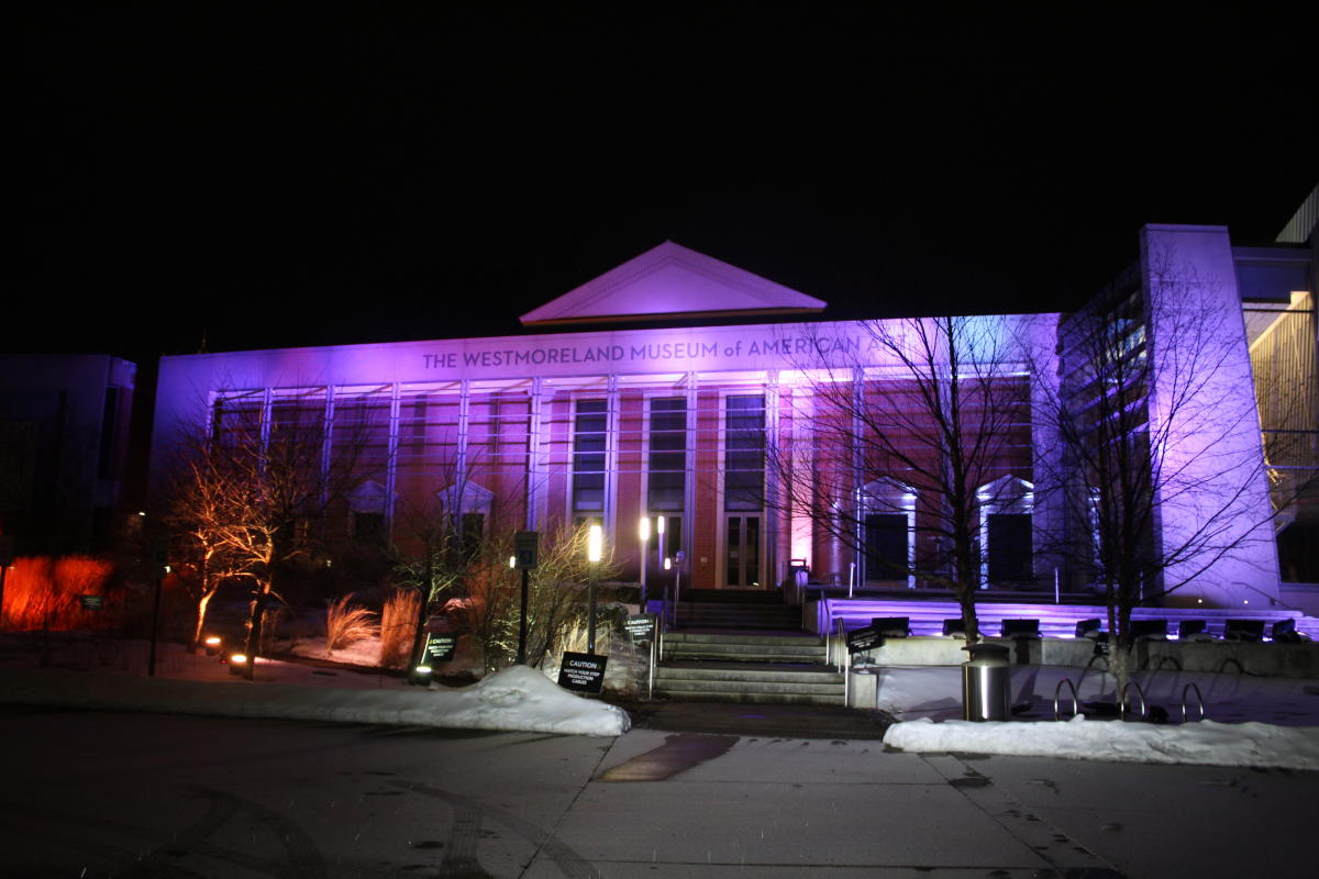 Winter Lights Illumination Night