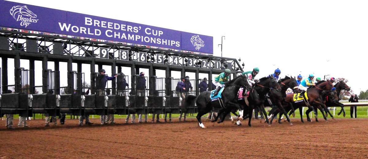 Breeders Cup 2022 Schedule Breeders' Cup 2022