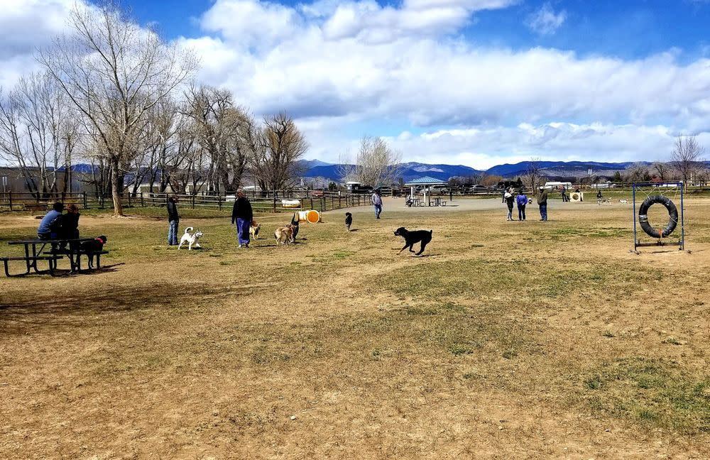 Dog Park 2
