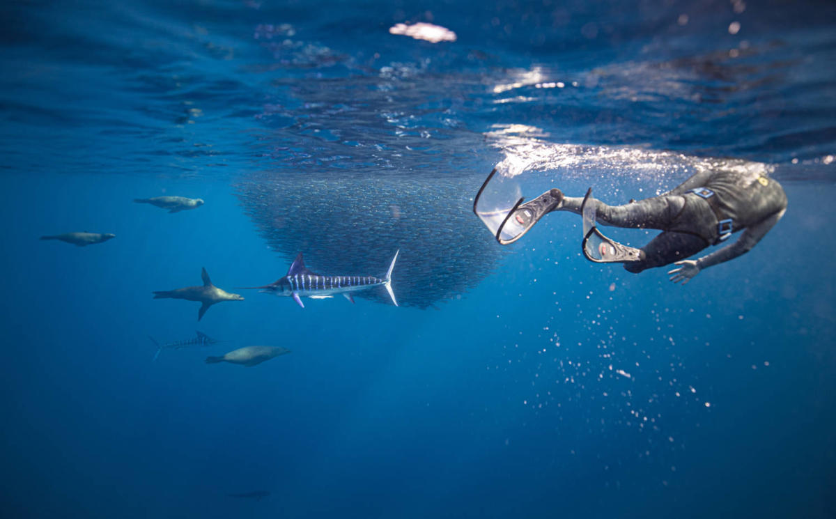 Nautilus Dive Adventures