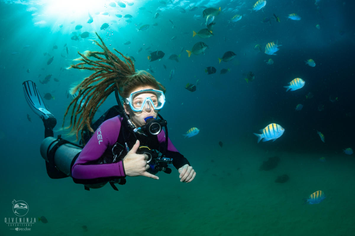 Dive Ninja Expeditions