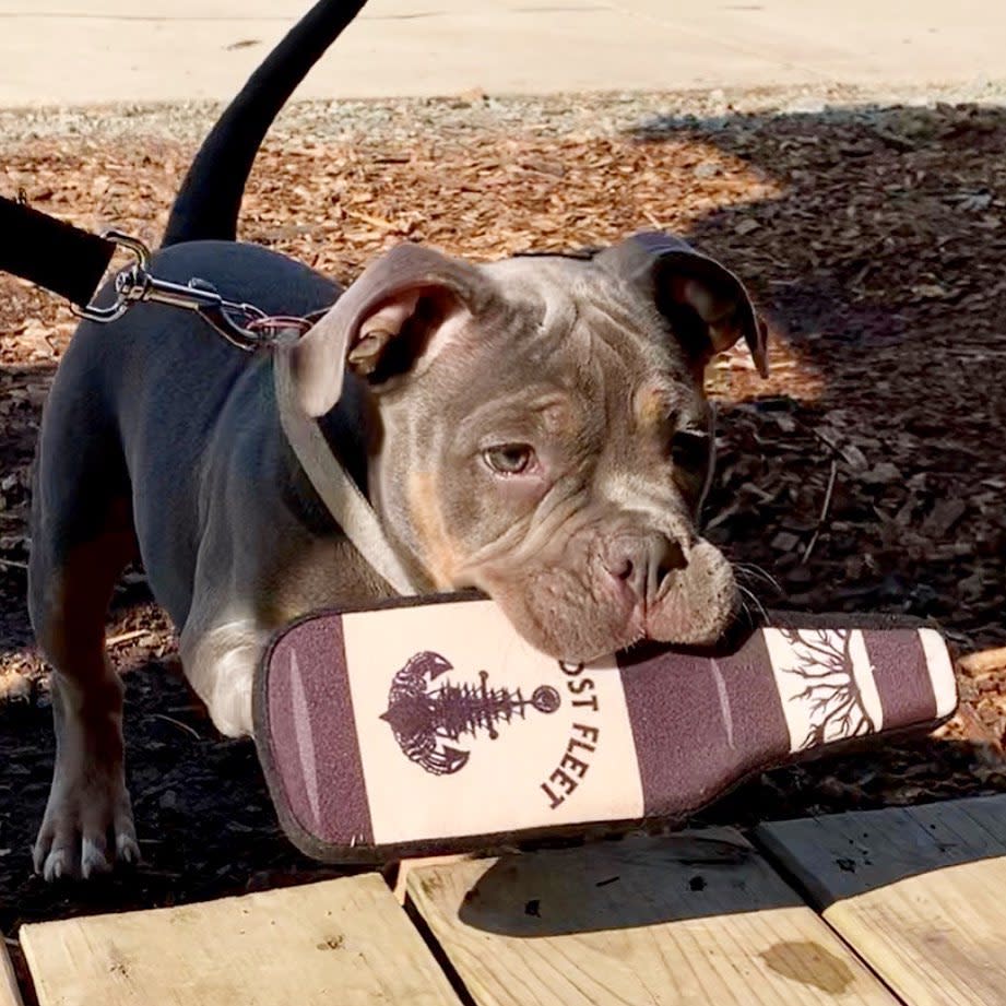 Vanish Farmwoods Brewery Leesburg, VA 20176