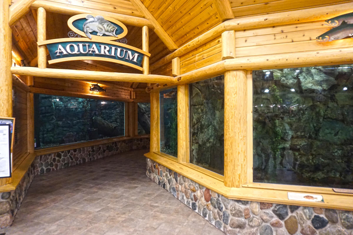 Cabela S