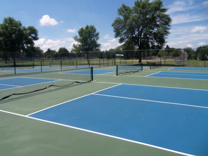 Play Pickleball at Lakeview Knolls Park Court Information Pickleheads
