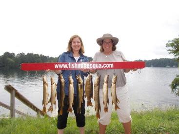 Fishminocqua Com
