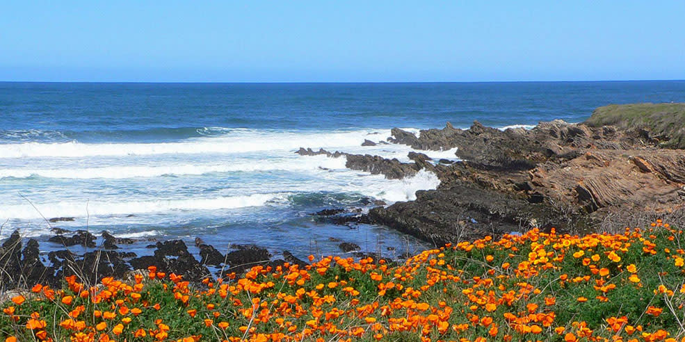 Montana De Oro State Park