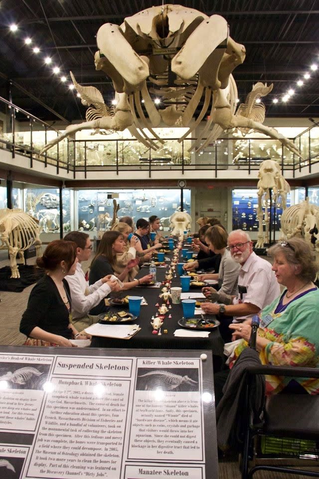 SKELETONS: Museum of Osteology