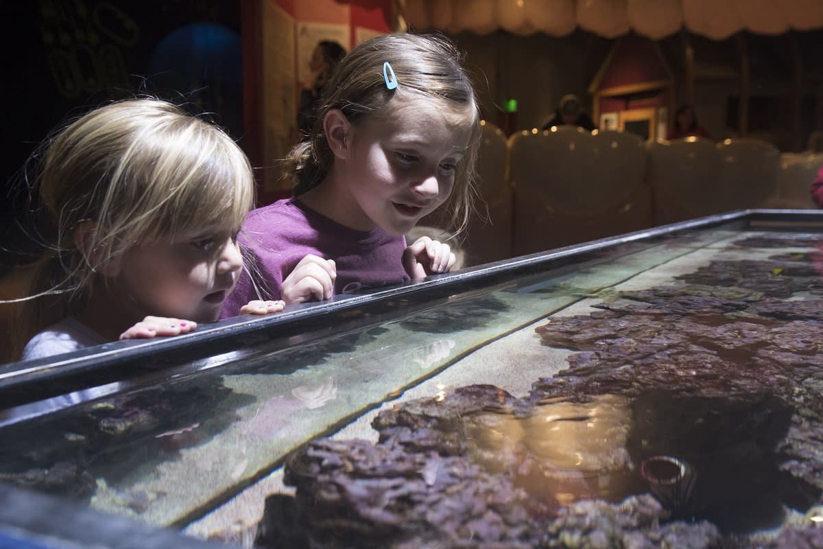 Science Museum Oklahoma