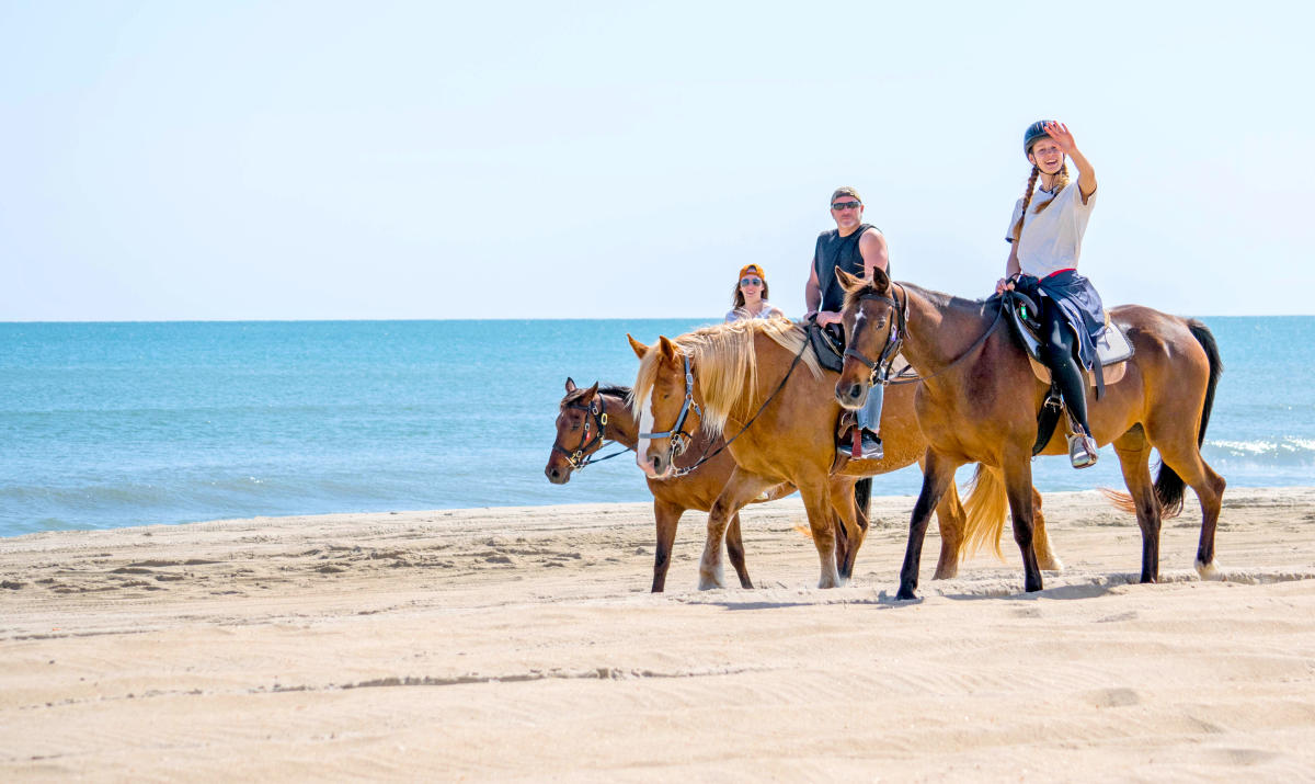 Save $10 per rider on Horseback Riding on the Beach!!!