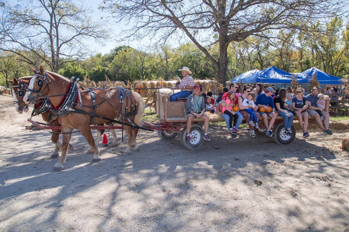 Pumpkin Hollow Overland Park, KS 66221