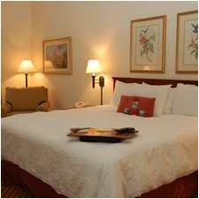 Hampton Inn Thomas Drive | Panama City Beach, FL 32408