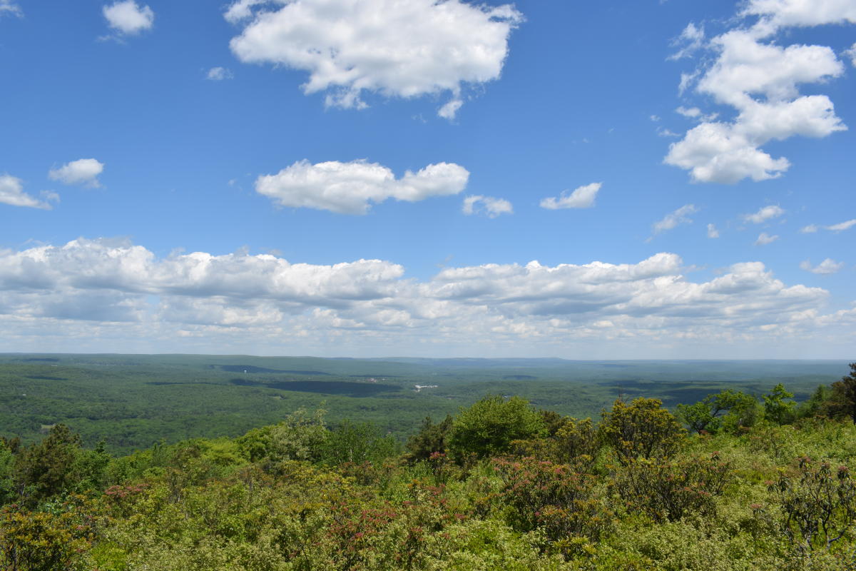 Big Pocono State Park Map Big Pocono State Park | Tannersville, Pa 18372