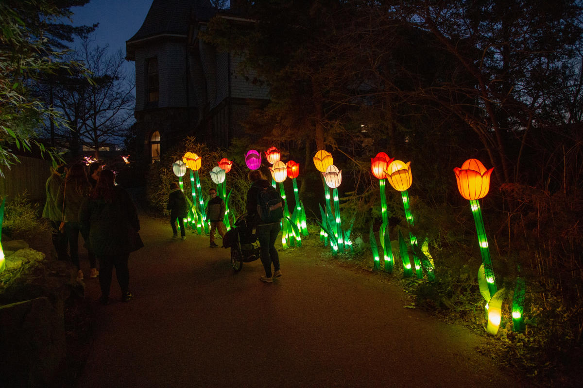 Asian Lantern Spectacular at Roger Williams Park Zoo Providence, RI 02907