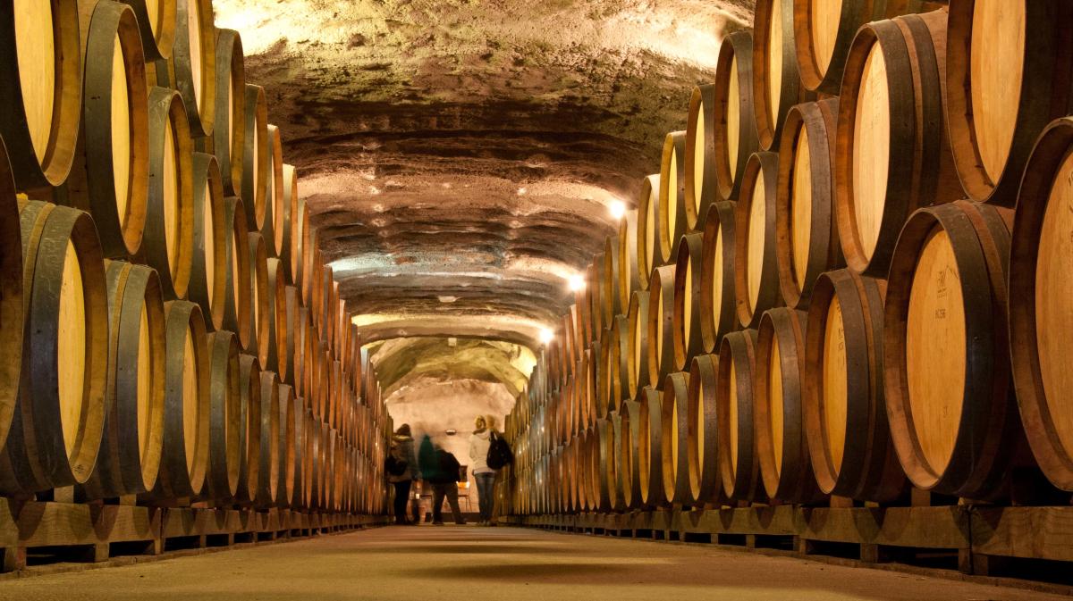 appellation wine tour