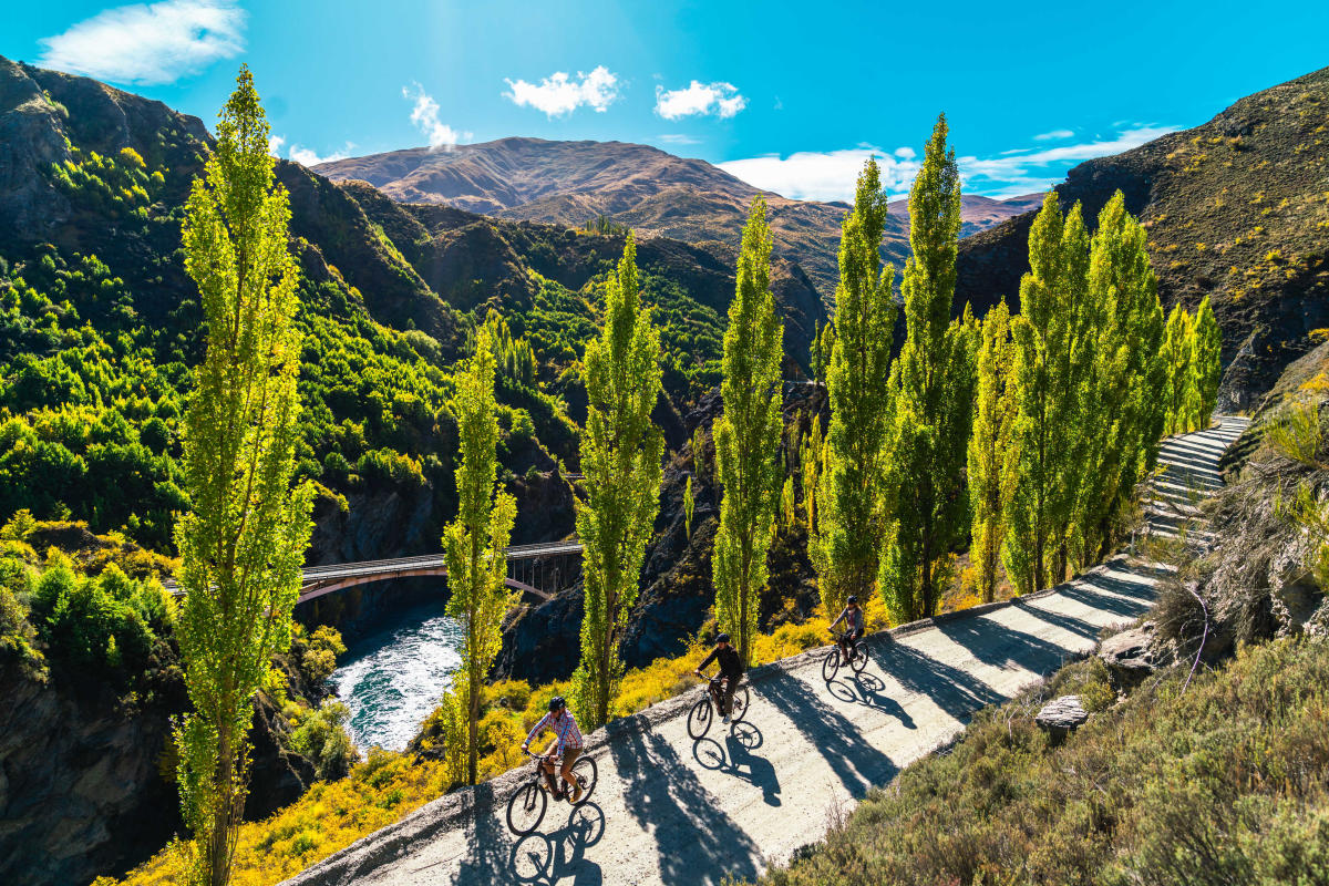 Bike The Wineries Half Day Official Queenstown site