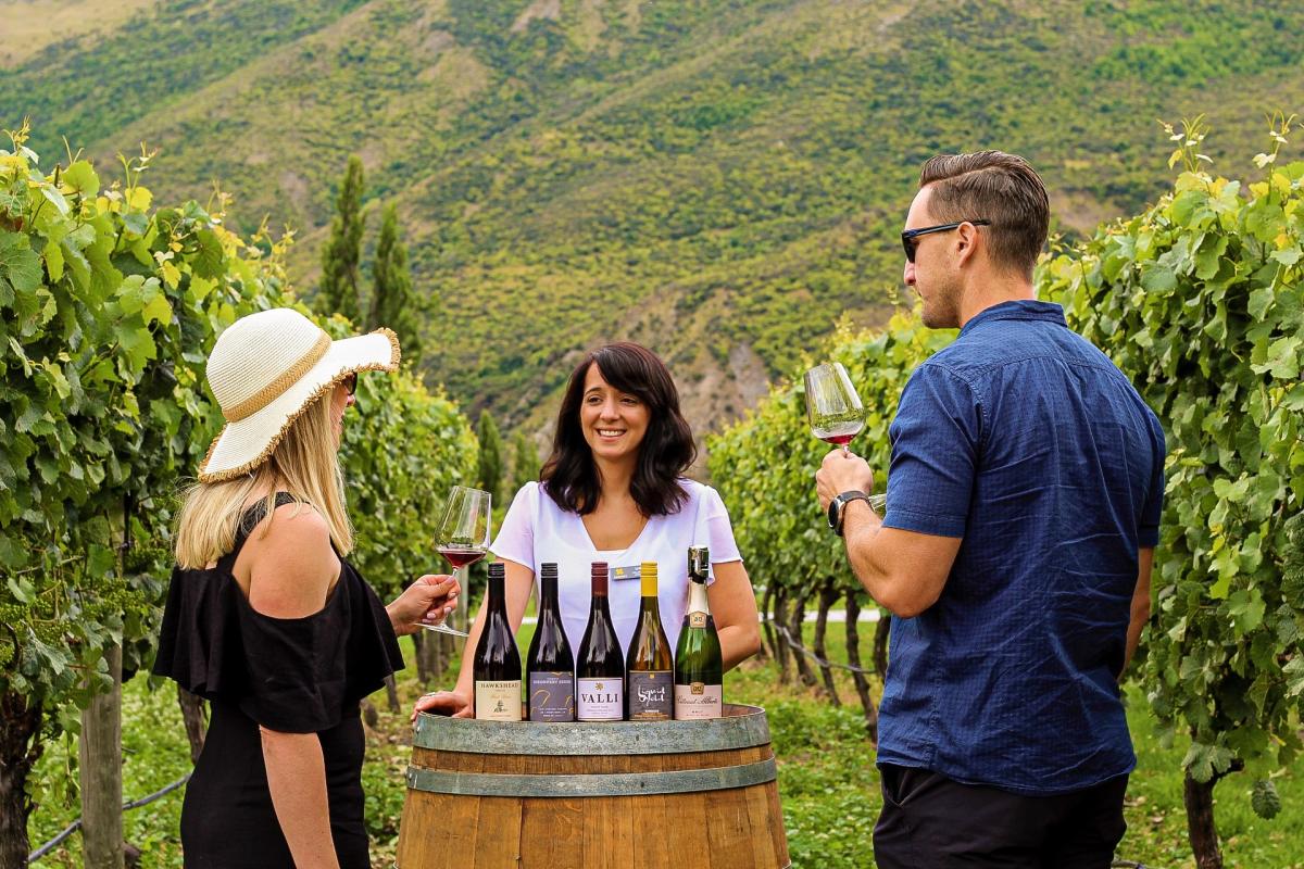 wine tourism training