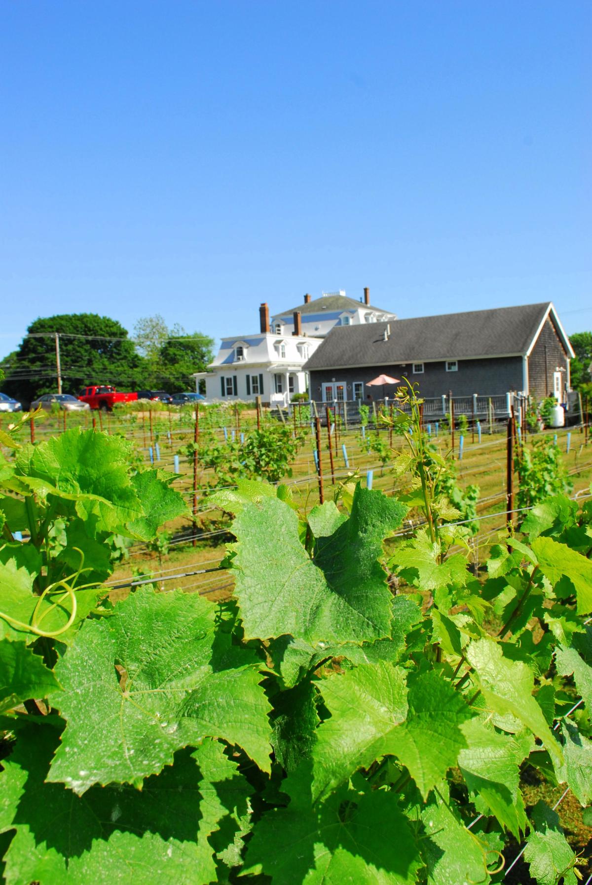 Langworthy Farm B&B Westerly, RI 02891
