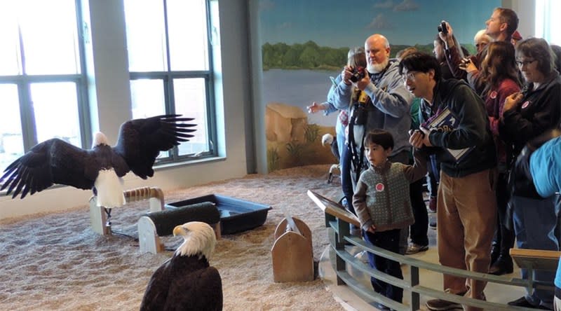National Eagle Center Wabasha Mn 55981