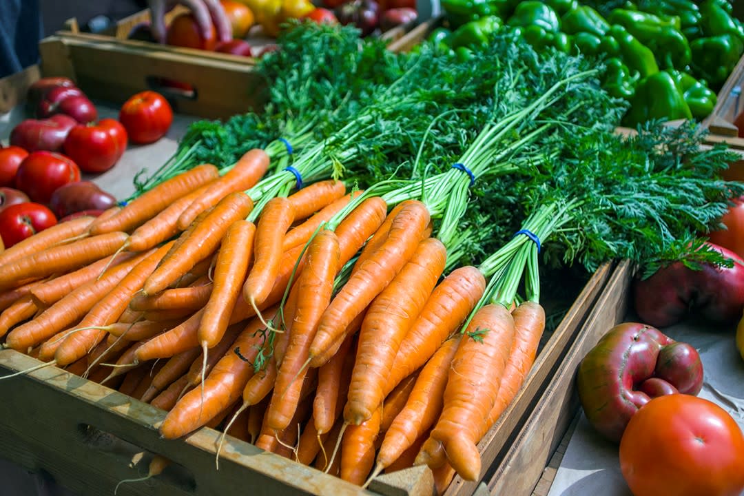 Rochester Farmers Market Graham Park Rochester, MN 55904