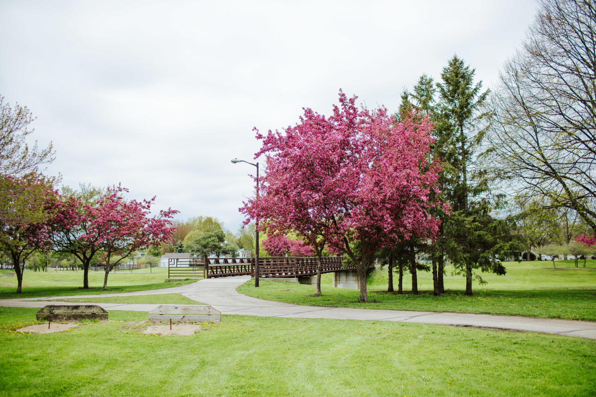 Slatterly Disc Golf Course Rochester Mn 55904