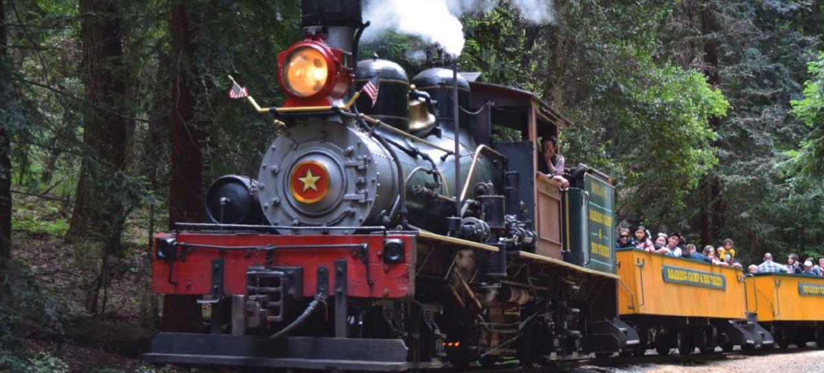Redwood Forest Steam Train