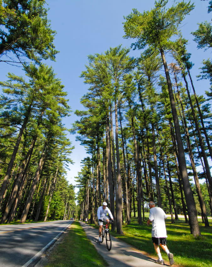 Saratoga Spa State Park
