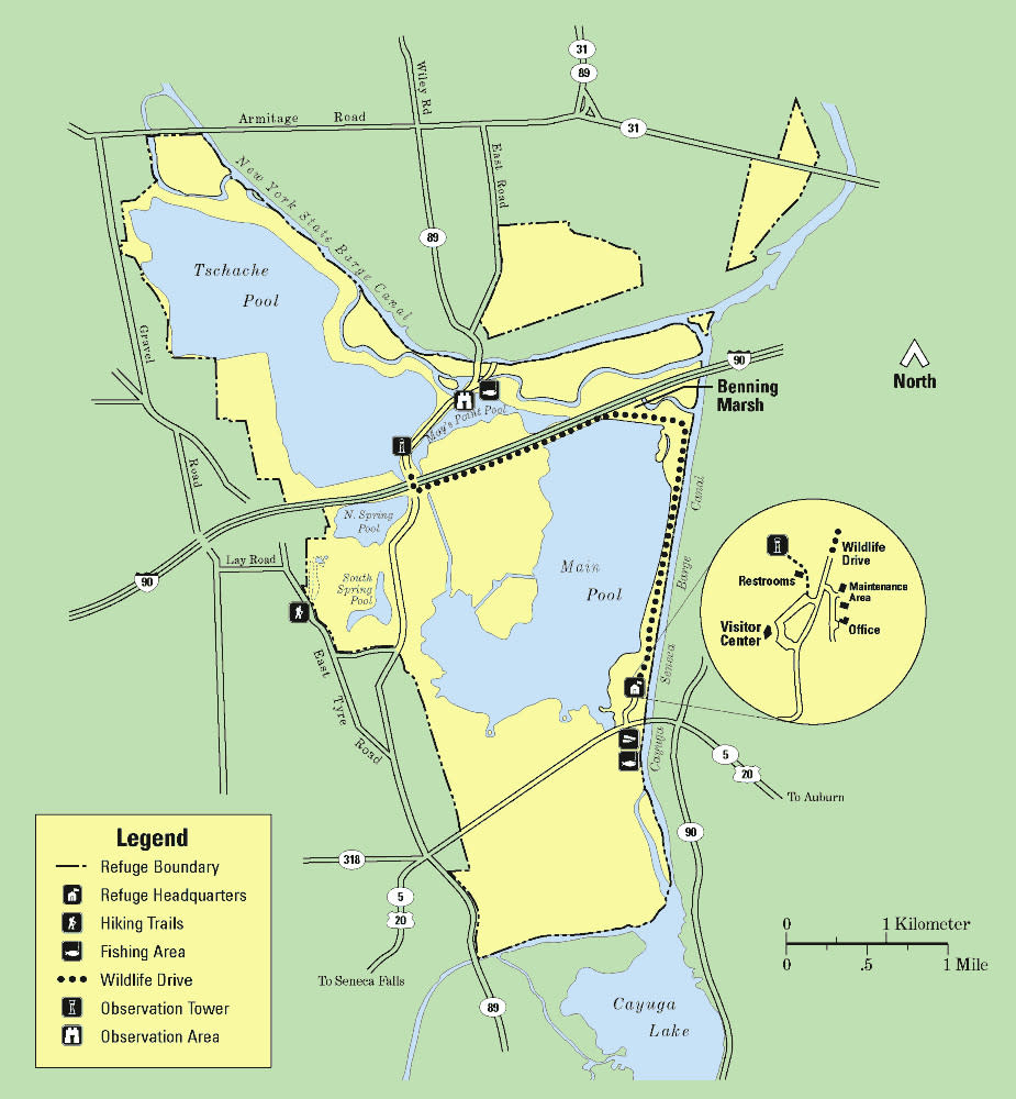 Montezuma National Wildlife Refuge Seneca Falls, NY