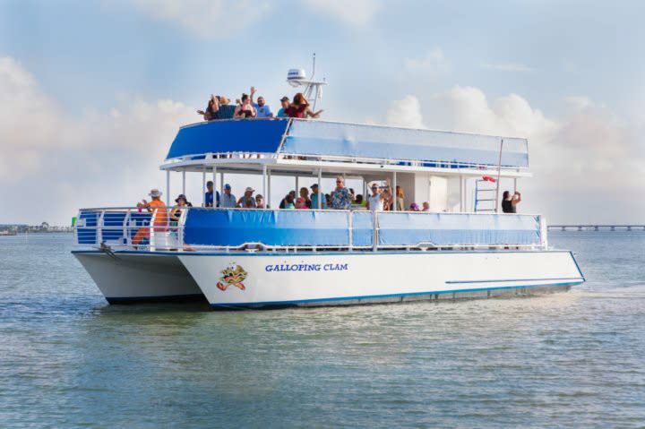 Galloping Clam Boat Tours