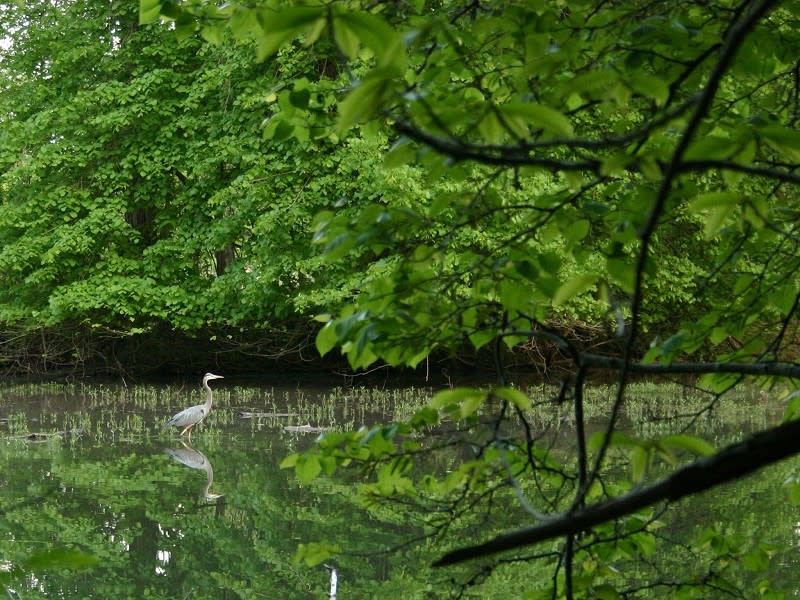 Springfield Conservation Nature Center